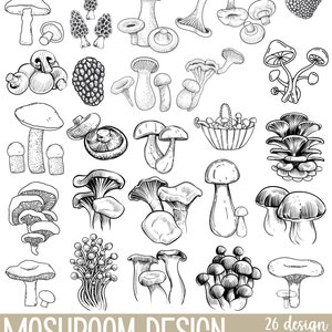 Floral Mushroom SVG Bundle: Mystical Celestial Designs (Digital Download)