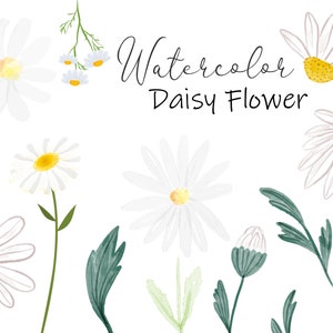 Clipart de flor de margarida aquarela, primavera Svg, flor SVG, floral SVG, margarida PNG, arquivo de corte de margarida Download digital instantâneo