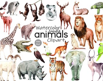 Jungle Animals Icons - Etsy Australia Jungle Animals Icons - Etsy Australia