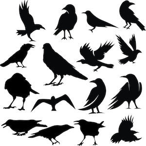 Krähe SVG Bundle, schwarze Krähe Silhouette, dunkle Krähe Vogel Tiere, Rabe Vogel Clipart, Amsel, Cricut geschnitten Dateien Sofort-Download