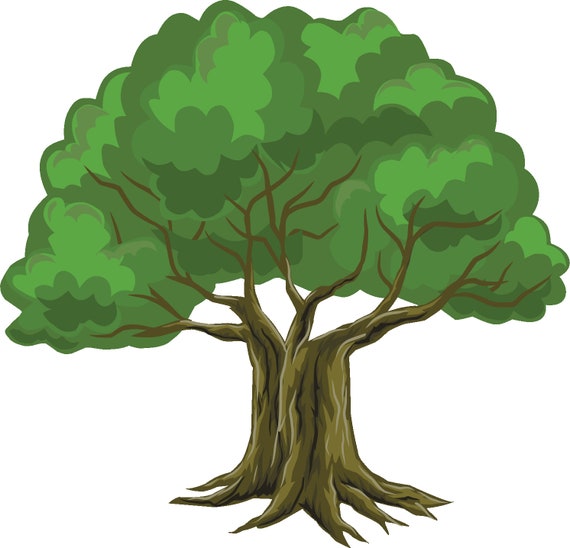 Oak Trees Clipart, Woodland Fall Oak Tree Clipart, Pine Tree Nature Forest  Woods SVG Bundle, Instant Download Digital Art - Etsy