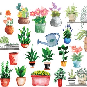 House Plants Clipart, Potted Plant Clipart, House Plant Png, Gardening Clipart, Botanical, Succulent Clipart, Greenery,  Digital Download
