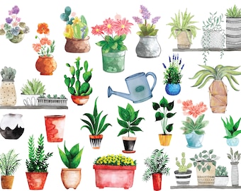 Watercolor House Plants Clipart: Botanical Greenery (Digital Download)
