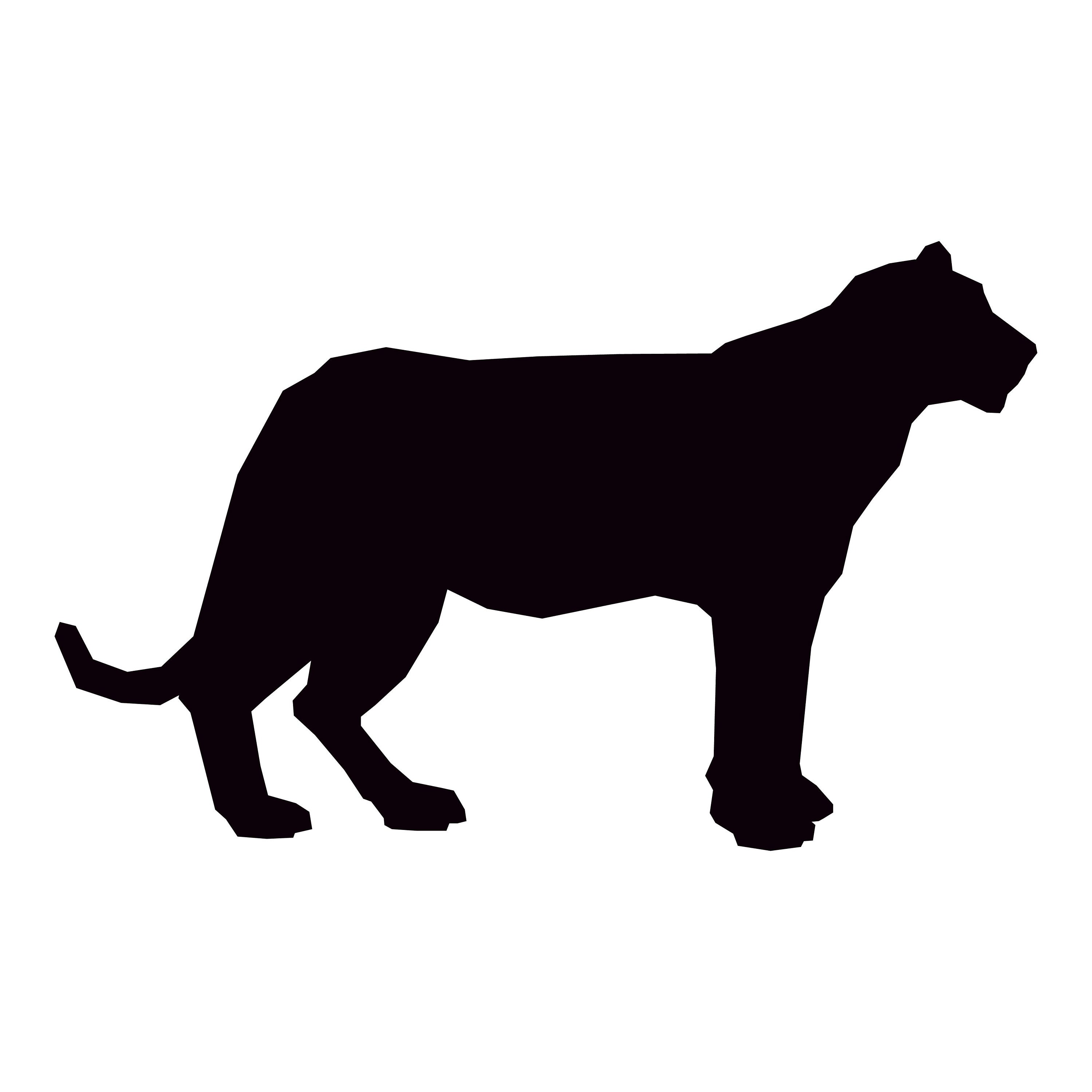 Zoo Animal Silhouette SVG Bundle: Safari & Jungle Clipart (digital File ...