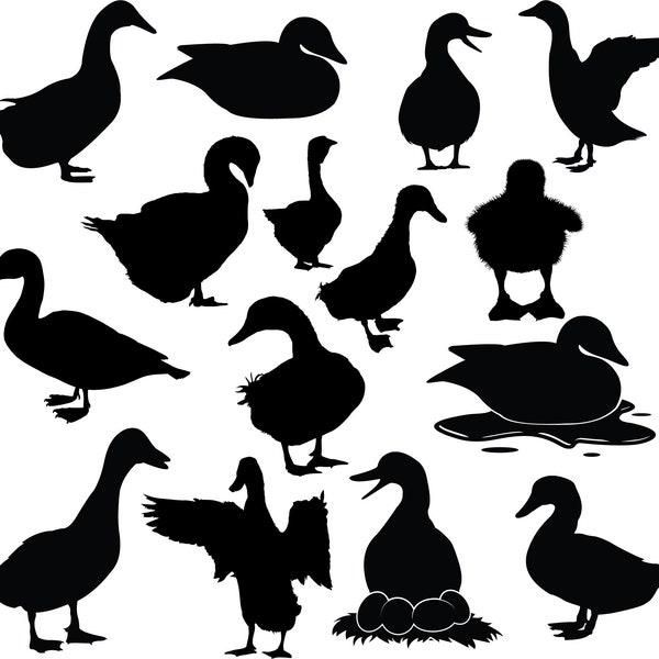 Duck SVG Bundle, Duck Silhouette - Farm Animal Svg - Duck Clipart - Duck Clipart - Duck Cut File - Duck Vector - Téléchargement instantané PNG