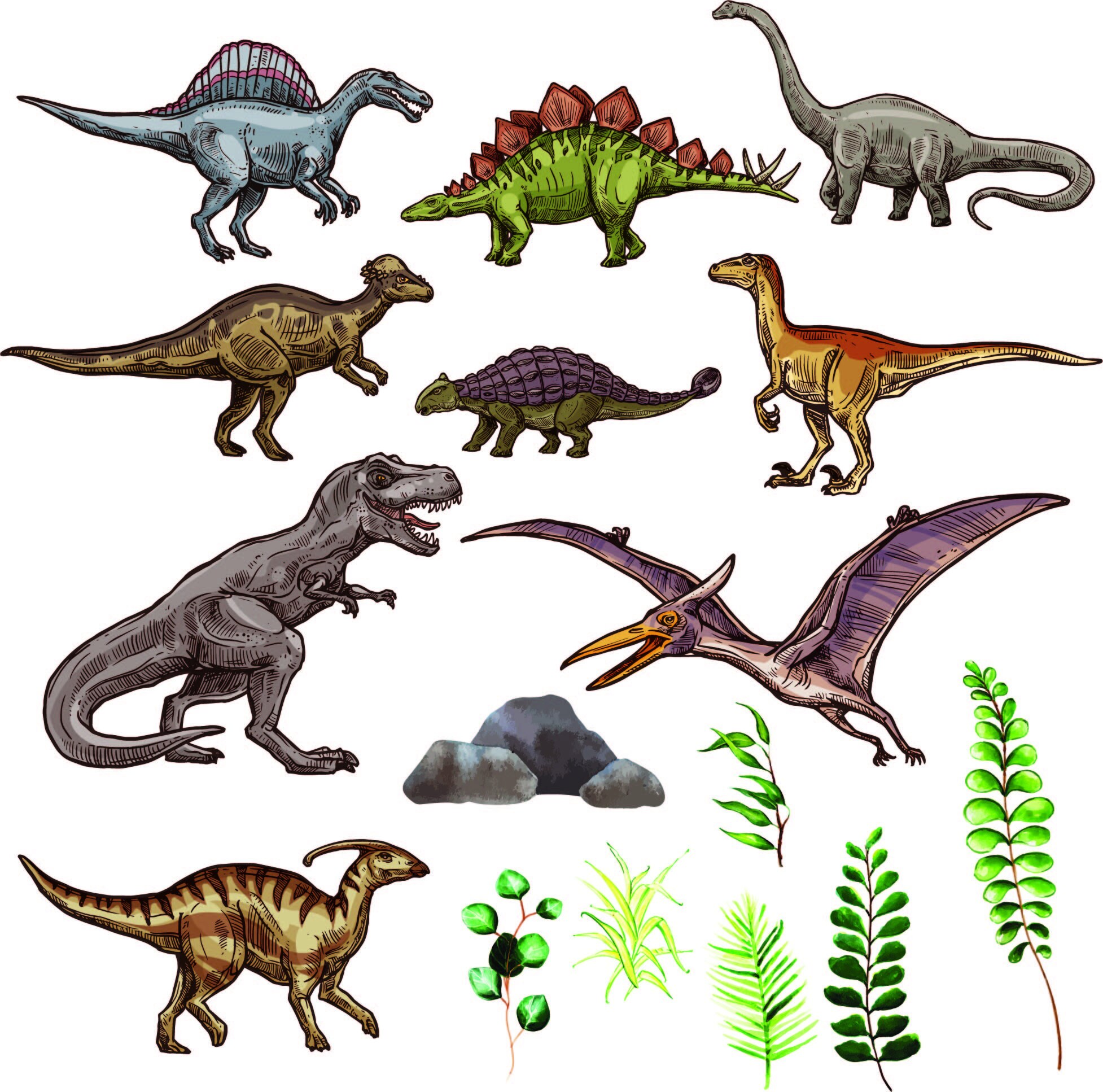 SuperChouette: Modelage dinosaures