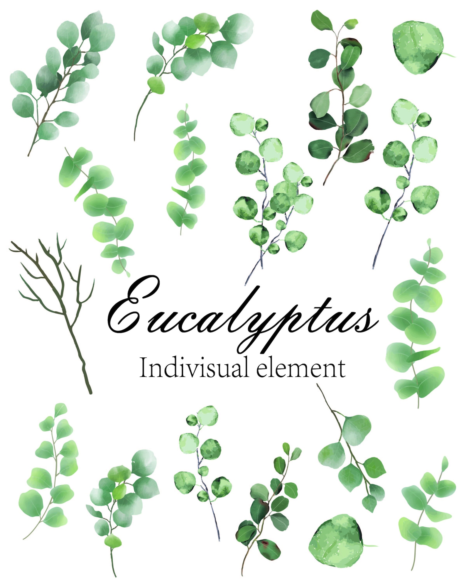Watercolor Eucalyptus Clipart, Greenery Bouquet, Botanical Leaves PNG ...