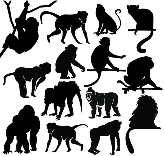 Black And White Hanging Monkey Clip Art