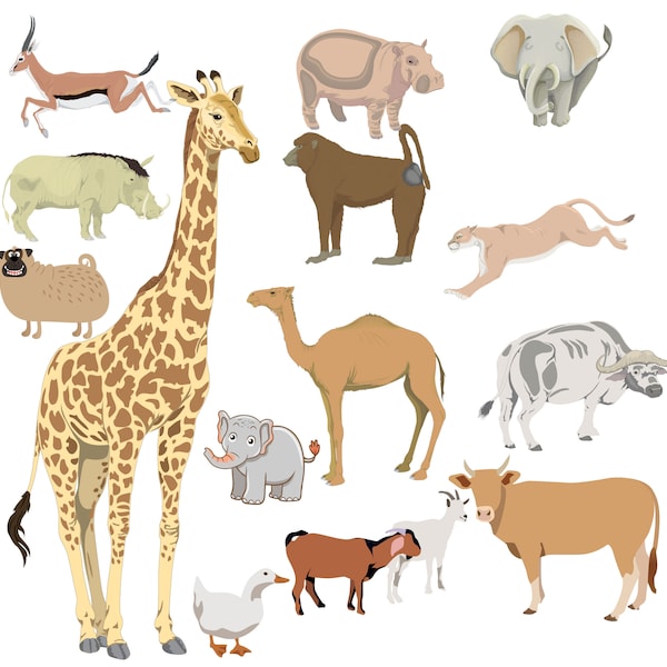 Zoo Animal Clipart, Safari Animals SVG, Zoo animals svg bundle, African jungle animals, Monkey, Elephant, Giraffe Download PNG Eps svg files