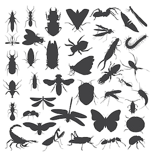 Pacchetto SVG di insetti, Silhouette di insetti carini, Clipart di insetti da giardino vintage, Download istantaneo di insetti Arte di design digitale