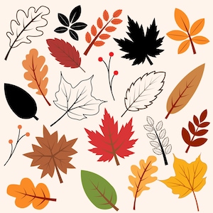 Herbstlaub Ahornblatt Ahornblatt Ahornblatt Ahornblatt Ahornblatt Ahornblatt Ahornblätter Ahornblatt Ahornblätter Ahornblatt Ahornblätter Ahornblatt Ahornblätter Ahornblatt