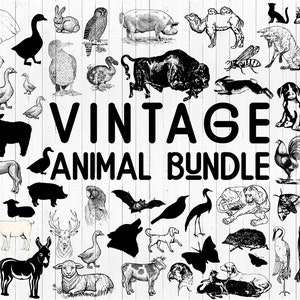 Vintage Farm Animals Clipart - Farm Animal SVG - Antique Art Farmhouse Clipart - Printable Farm Animal Graphics Instant Digital Download PNG