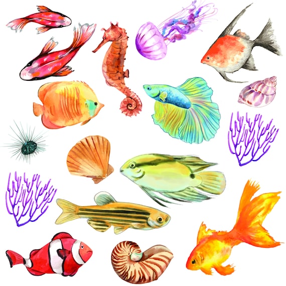 Fish Clipart, Sea Creatures Clipart - Vintage Nautical Fish Illustration-  Download Colorful Fish PNG - Watercolor Tropical Fish Designs