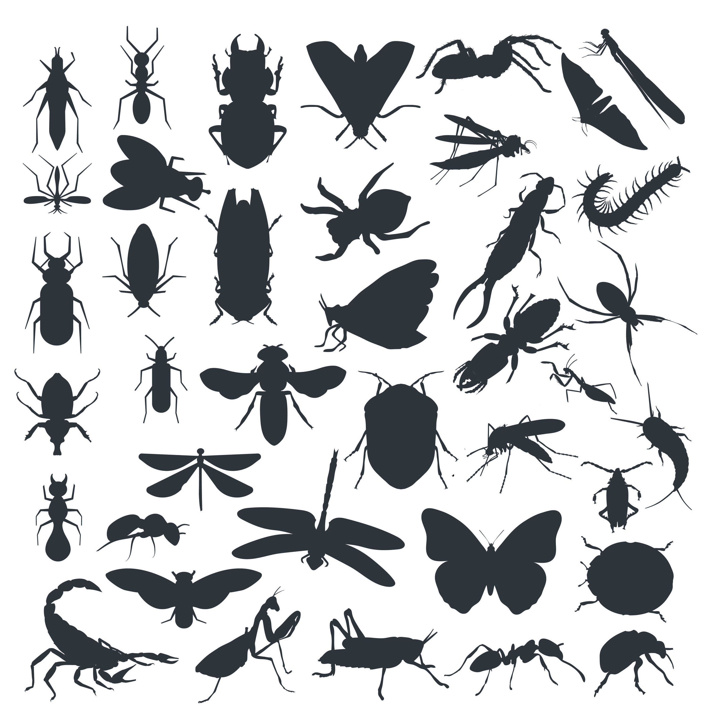 Insect SVG Bundle Cute Bugs Silhouette Vintage Garden Bugs - Etsy Canada