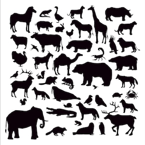 SVG di animali dello zoo, clipart di animali dello zoo, set di sagome di animali selvatici, clipart di tutti gli animali, file di taglio di animali della foresta - download immediato