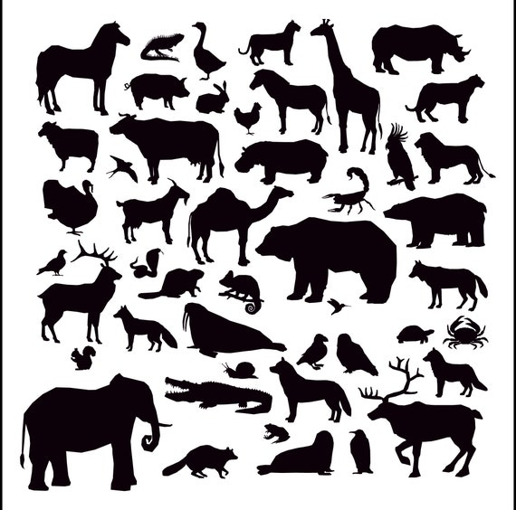 Zoo Animals Silhouettes Set of Wild Animals SVG All Animal Etsy