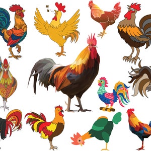 Clipart coq, poulet PNG aquarelle Clip art, oiseau de la ferme Animal imprimable téléchargement immédiat pour sublimation, cartes, vecteur de poulets de Pâques