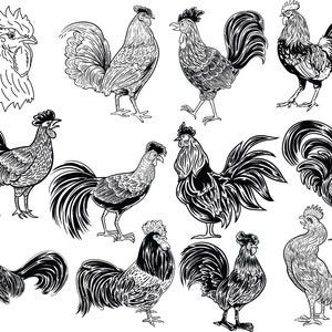 Chicken svg bundle,  fighter rooster clipart, rooster silhouette png, Instant Download  Files for Cricut