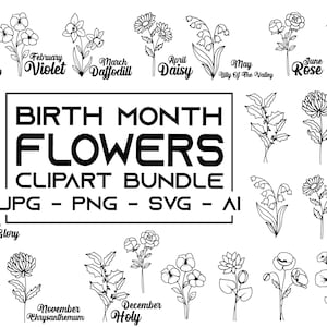 BirthMonth Svg Bundle, birthmonth flowers svg bundle, Birthday Svg, Birth Flower Svg, Floral Svg, Botanical Svg, birthmonth flowers png