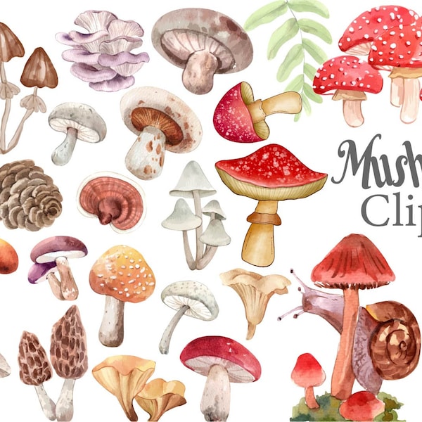 Joli clipart champignon, aquarelle clipart champignons, ensemble de cliparts champignons, clipart maisons champignons