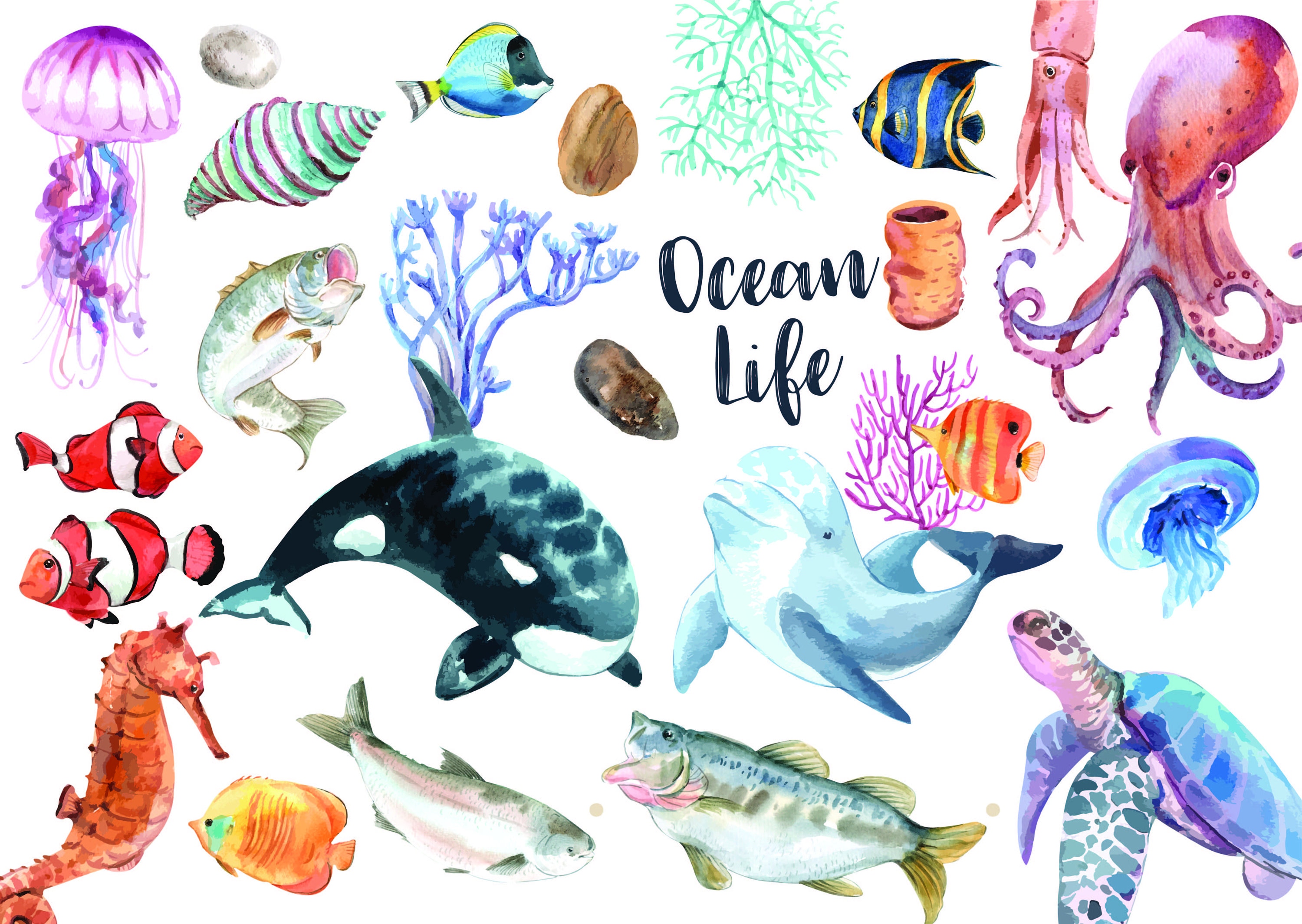 Aquarell Meerestiere Clipart Set von süßen Meerestieren Etsy.de