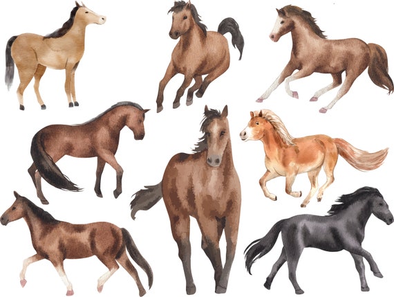 Watercolor Horse Clipart Pet Animal Clip Art Pony Breeds - Etsy Canada