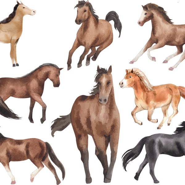 Breeds of Horses Clipart - Etsy