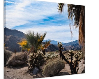 Palm Desert Fauna - Canvas Photo Print