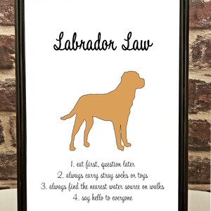 May include: A framed print with a silhouette of a Labrador Retriever and the text "Labrador Law" with four rules listed below: 1. eat first, question later, 2. always carry stray socks or toys, 3. always find the nearest water source on walks, 4. say hello to everyone.