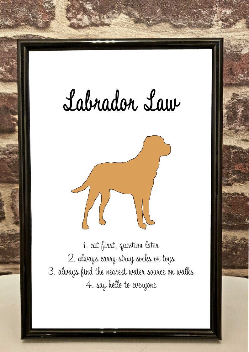 May include: A framed print with a silhouette of a Labrador Retriever and the text "Labrador Law" with four rules listed below: 1. eat first, question later, 2. always carry stray socks or toys, 3. always find the nearest water source on walks, 4. say hello to everyone.