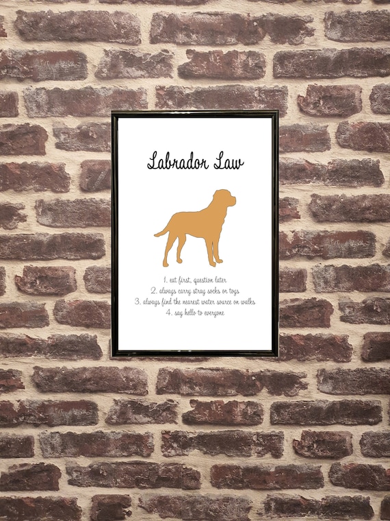 Labrador Print | Labrador Decor | Labrador Wall Art | Pet Print | Fox Red Labrador |Red Lab Wall Art |Gift for Dog Owner |Gift for Dog Lover