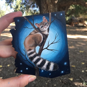 Arizona Ringtail cat magnet