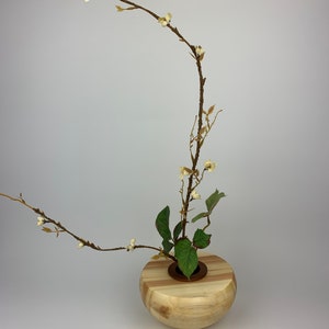Aspen Wood Ikabana Vase