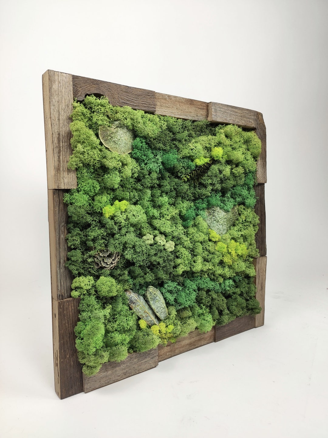 Moss Wall Decor, Moss Wall Art, Wall Art, Moss Art, Moss Wall, Vertical