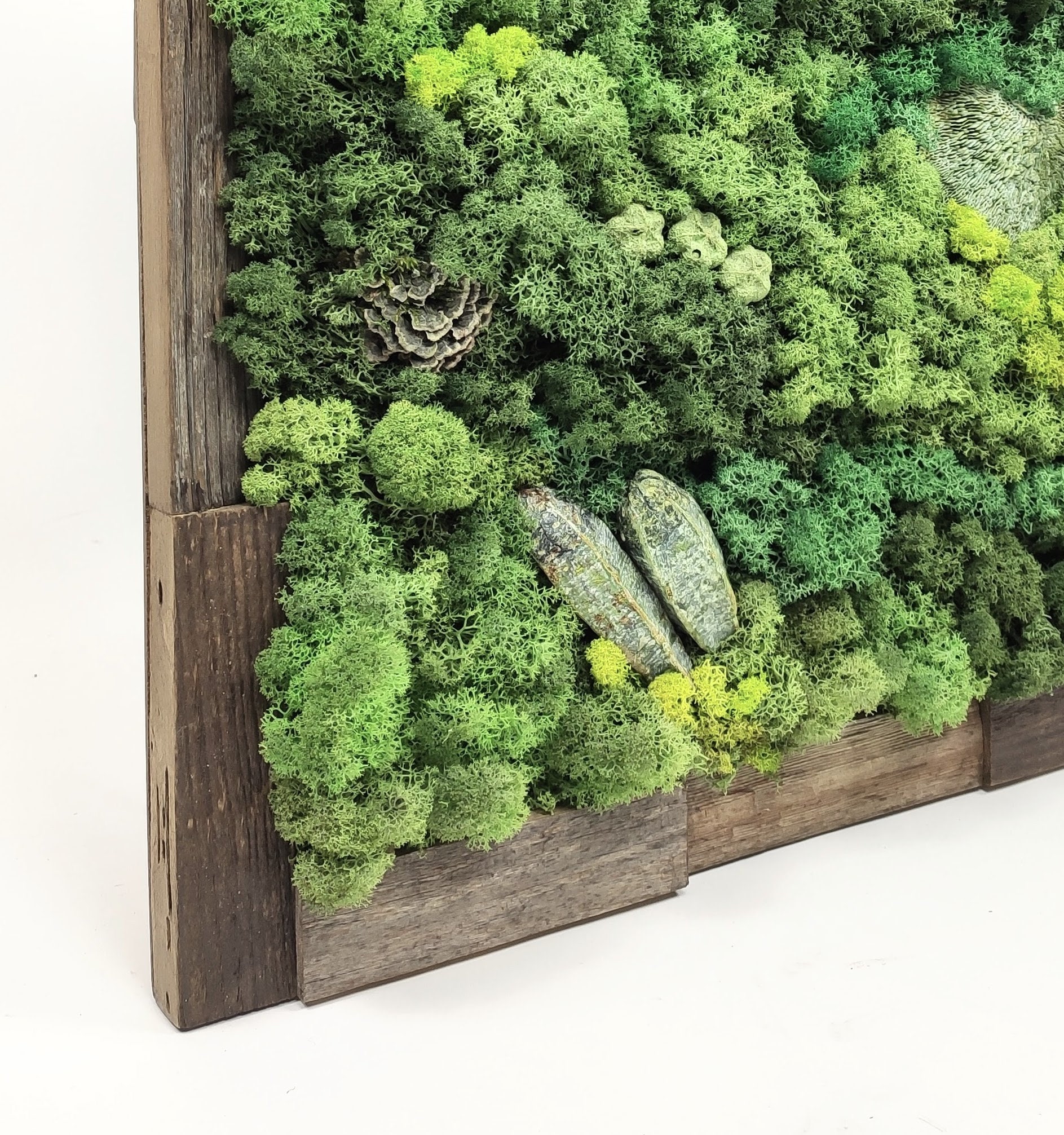 Moss Wall Decor, Moss Wall Art, Wall Art, Moss Art, Moss Wall, Vertical