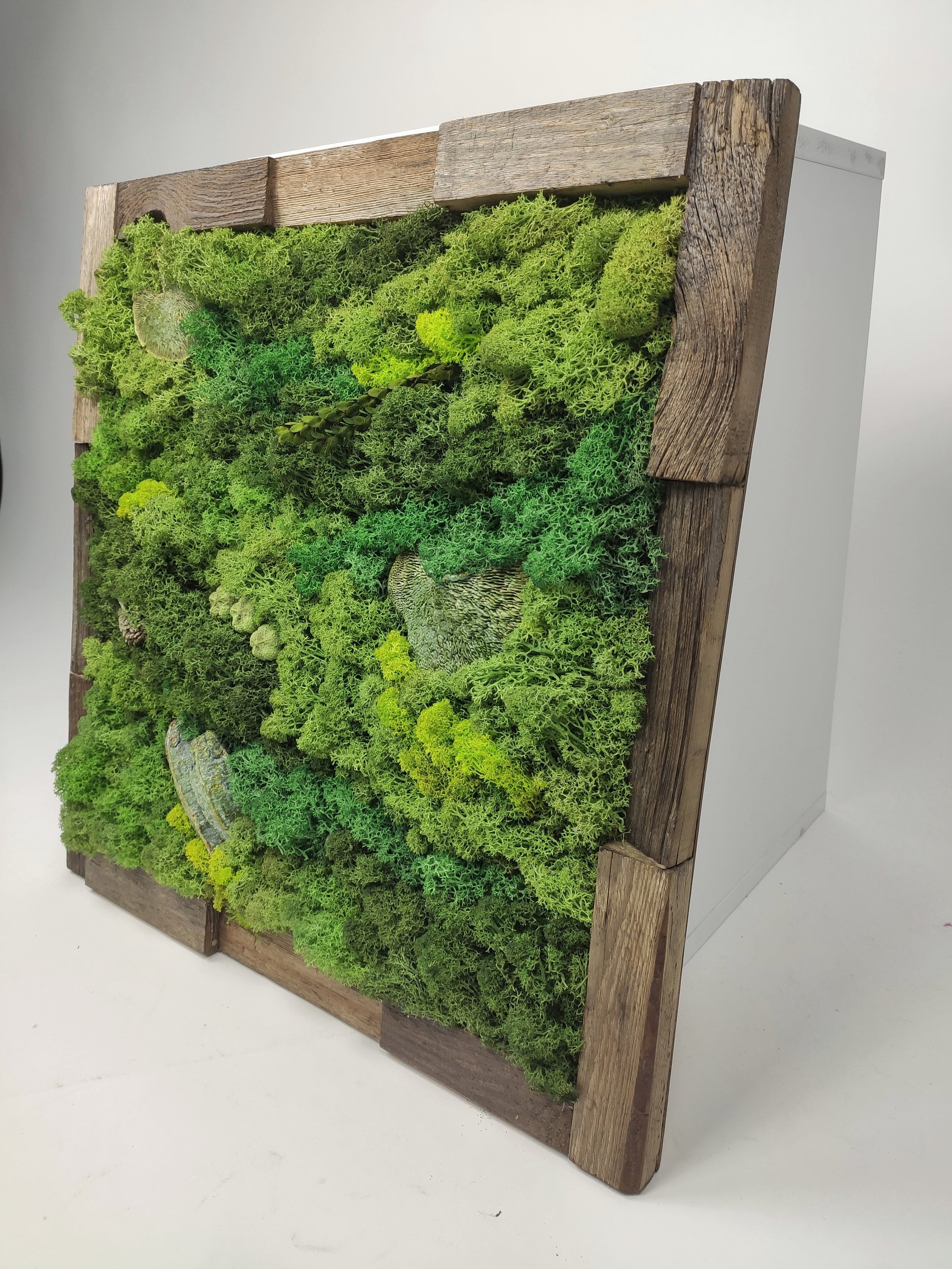 Moss Wall Decor, Moss Wall Art, Wall Art, Moss Art, Moss Wall, Vertical