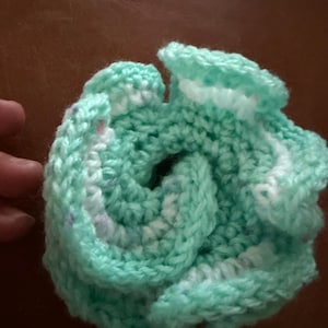 May include: A round, crocheted item featuring a spiral design in shades of mint green and white. The yarn texture is visible throughout the piece, which is constructed with a series of layered, ruffled loops that create a dense, circular form.