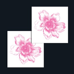 Puede incluir: Dos ilustraciones de flores rosas sobre fondos blancos. Las flores tienen l&iacute;neas delicadas y detalladas y una est&eacute;tica suave y femenina.