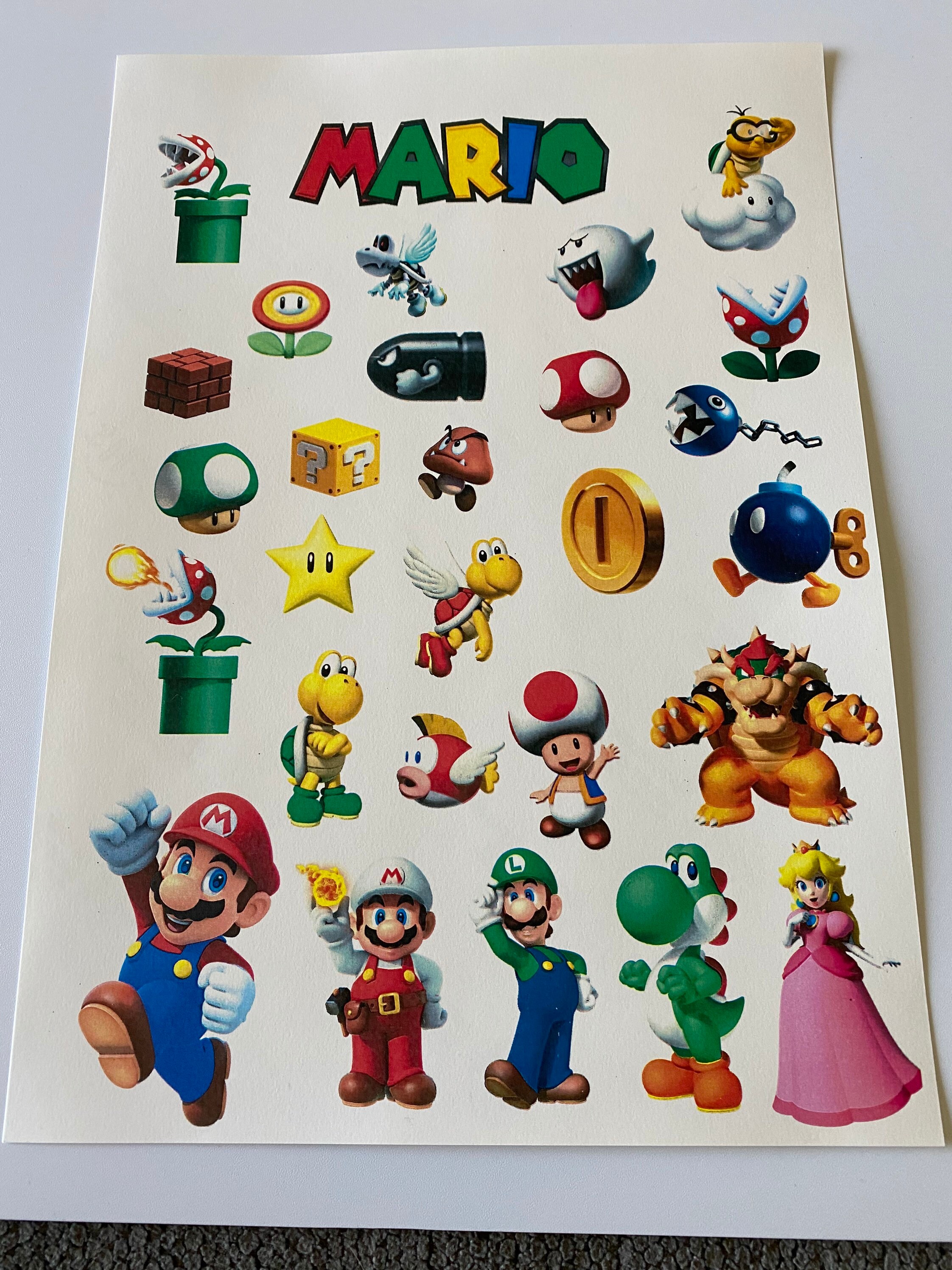 mario pool float