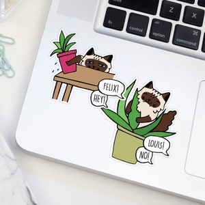 Custom Ragdoll Cat Sticker | Personalized Ragdoll Cat Sticker | Funny Gift For Cat Lovers | Rag doll Cat Mom Customized Stickers