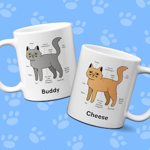 Custom Persian Cat Petting Diagram Mug | Personalized Persian Cat Mug | Funny Gift For Cat Lovers | White Persian Cat Mom Customized Mug