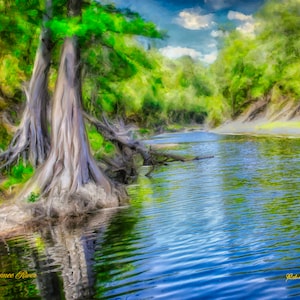 Titolo "Fiume Suwannee" Arte - Varie dimensioni - Tela (pronta da appendere) o carta per acquerello