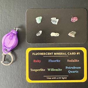 May include: A black card with yellow borders labeled "FLUORESCENT MINERAL CARD #1". The card lists the names of minerals: Ruby, Fluorite, Sodalite, Yooperlite, Willemite, and Petroleum Quartz.  Eight small mineral samples are displayed on the card.