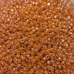 11/0 Opaque Luster Orange Seed Beads, 2mm Rocailles, 10 grams - Item Number 8806