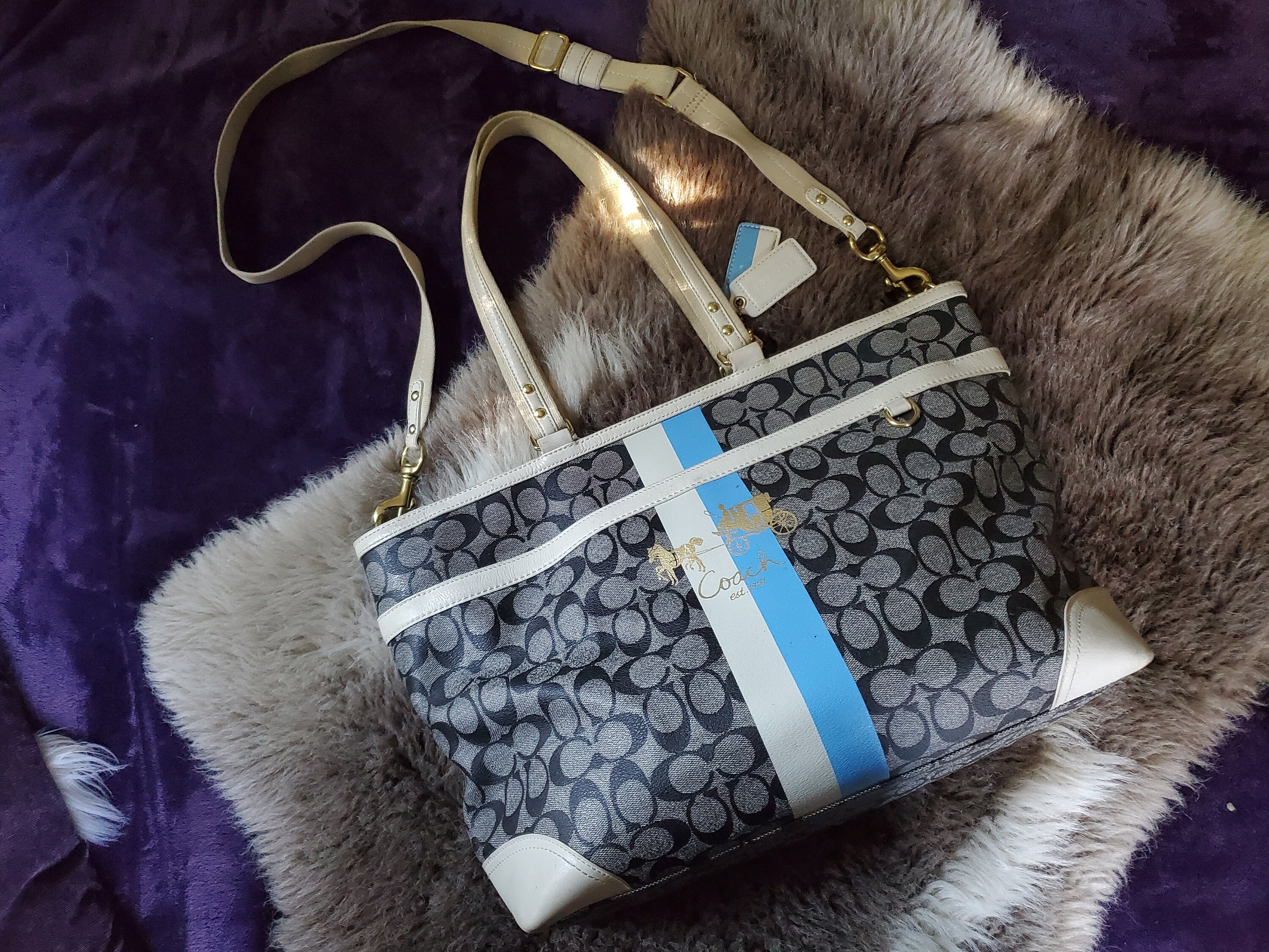 Chelsea coach purse sale