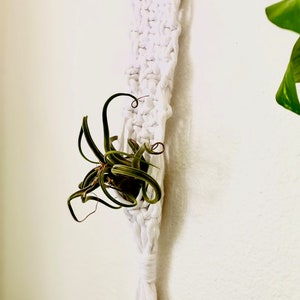 Macrame Air Plant Hanger