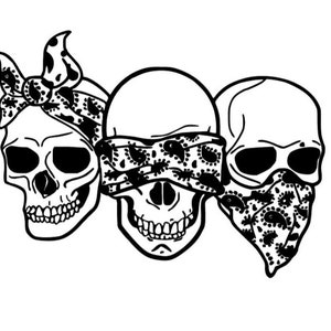 Hear No Evil see No Evil Speak No Evil Skulls Vinyl Decal - Etsy