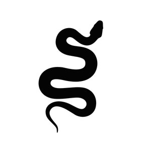 May include: Black silhouette of a snake curled in a coil shape.