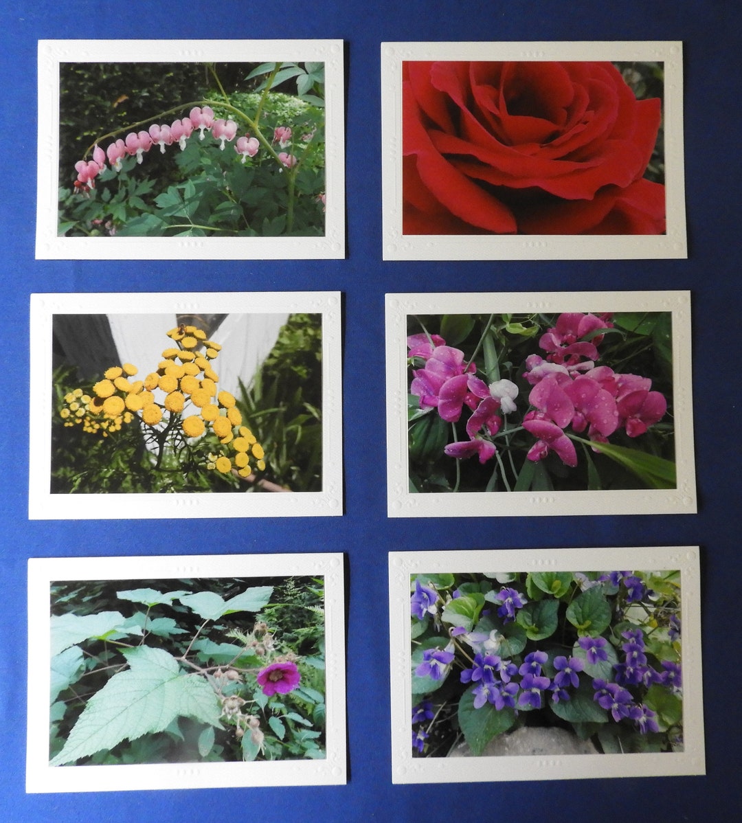 6 Flower Photo Greeting/note Blank Cards With 6 Envelopes - Etsy