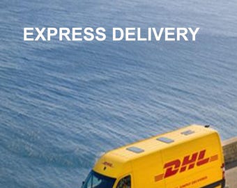 Express Delivery